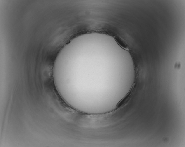 X0000110910033200907021445