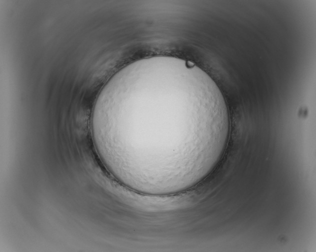 X0000110910034200907021445