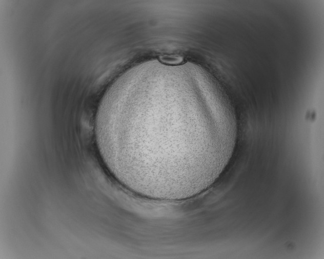 X0000110910040200907021445