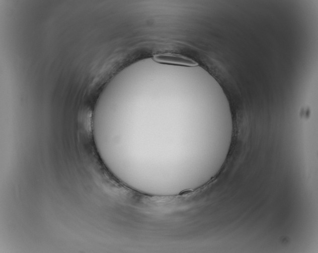 X0000110910041200907021445