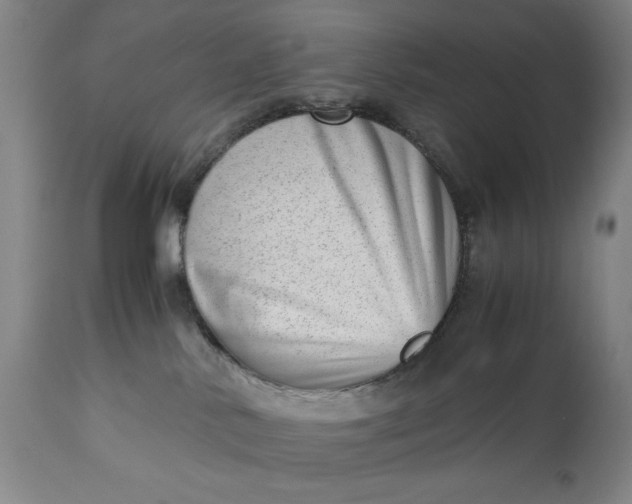 X0000110910042200907021445