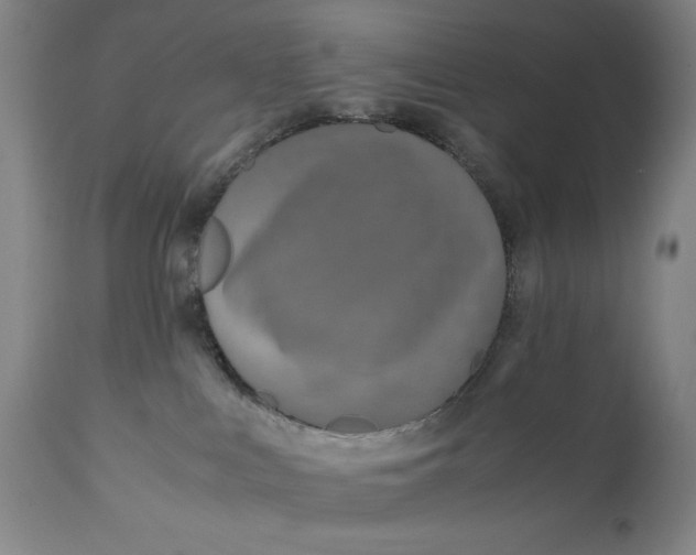 X0000110910043200907021445