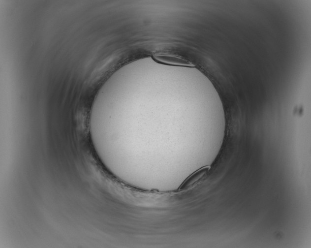 X0000110910044200907021445