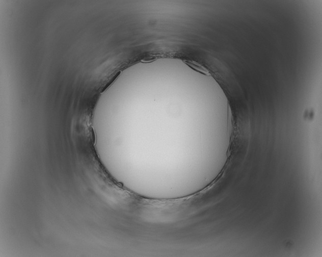 X0000110910045200907021445