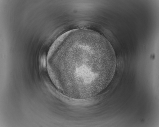 X0000110910046200907021445