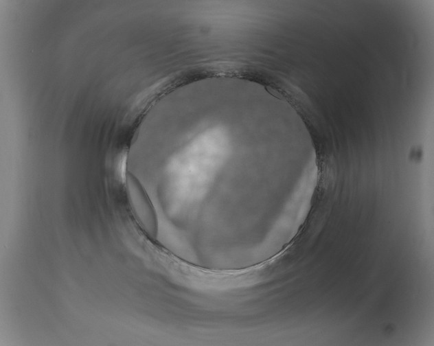 X0000110910047200907021445