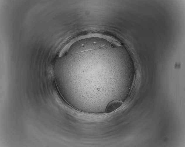 X0000110910048200907021445