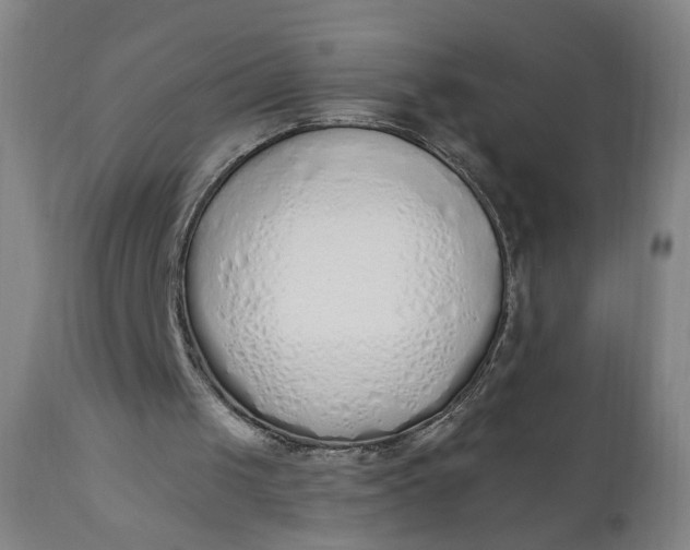 X0000110910049200907021444