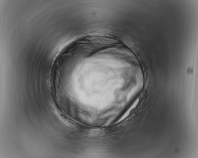 X0000110910050200907021444