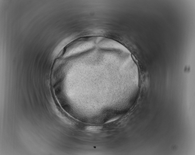 X0000110910051200907021444