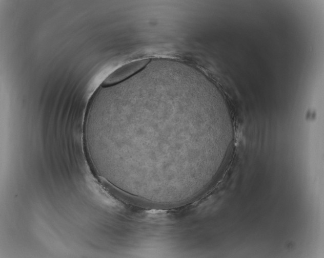 X0000110910052200907021444