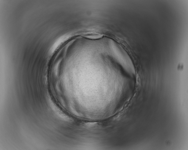 X0000110910054200907021444