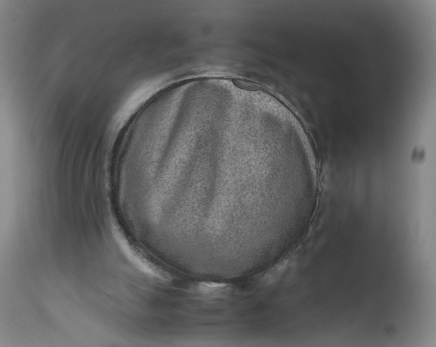 X0000110910055200907021444