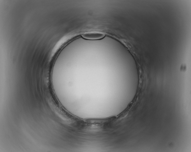 X0000110910056200907021444