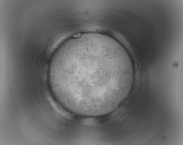 X0000110910058200907021444