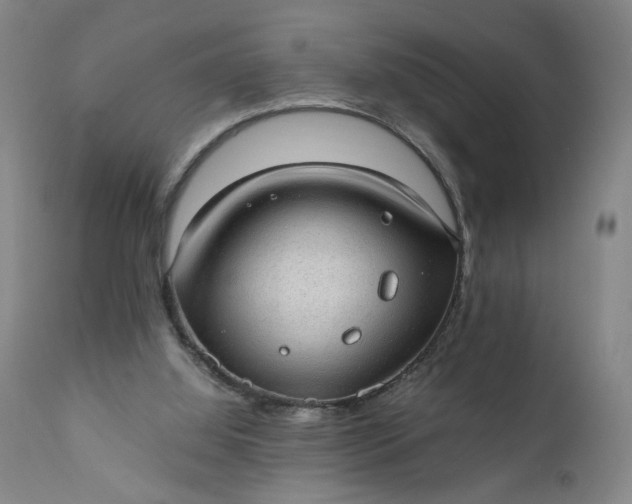 X0000110910060200907021444