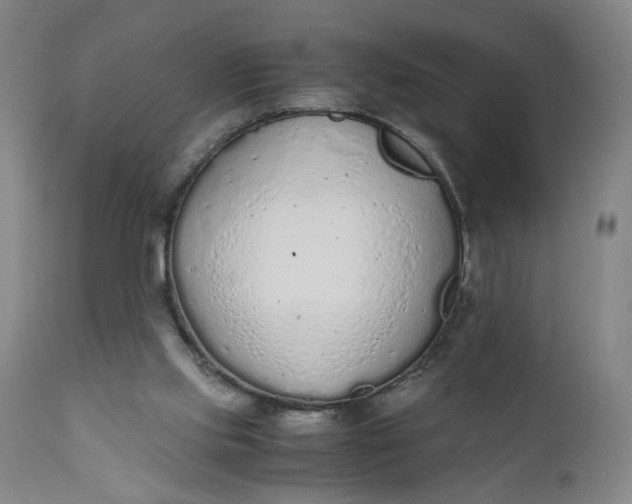 X0000110910061200907021444