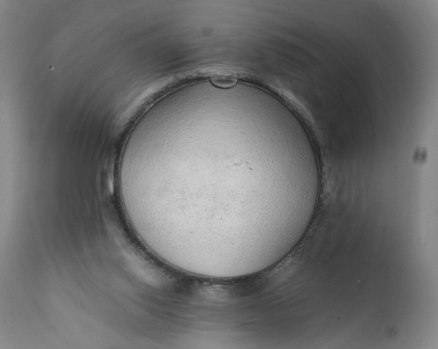 X0000110910062200907021444