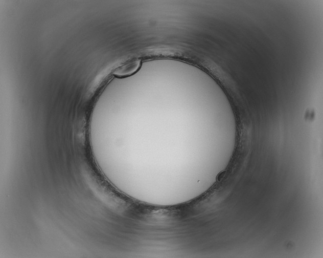 X0000110910064200907021445