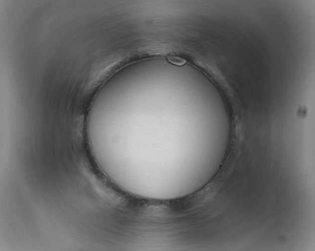 X0000110910066200907021445