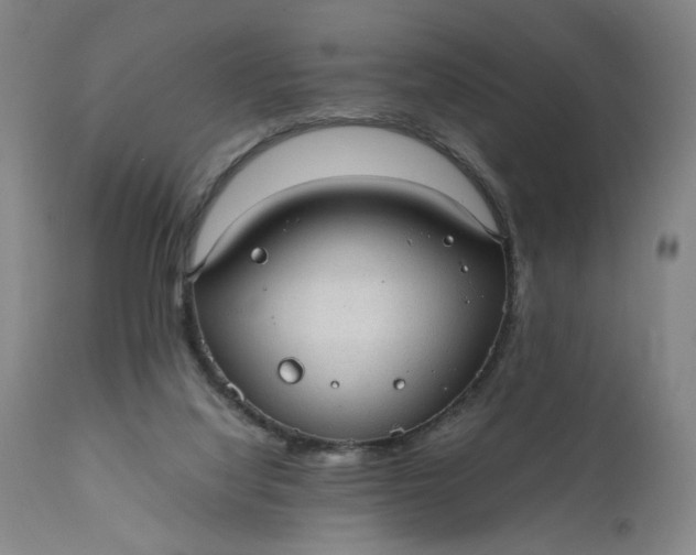 X0000110910068200907021445