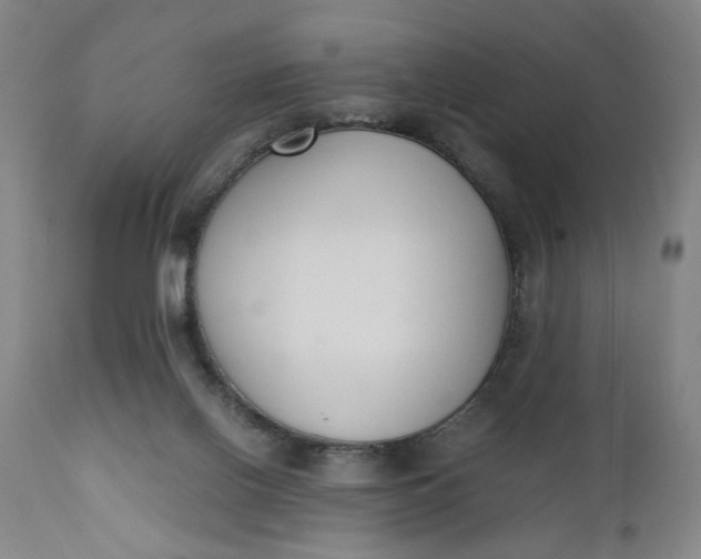 X0000110910070200907021445