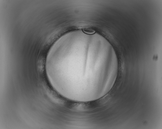 X0000110910074200907021445