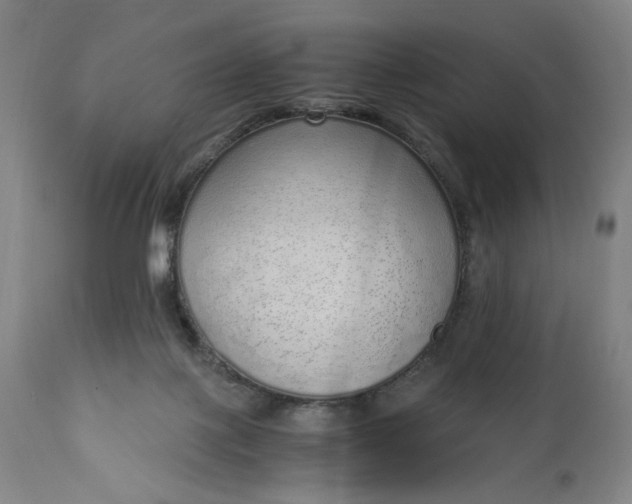 X0000110910075200907021445