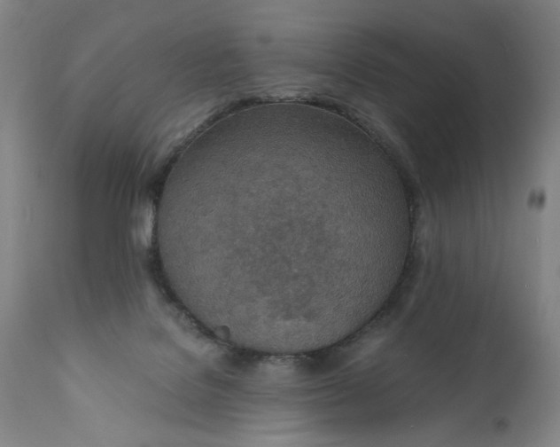 X0000110910076200907021445