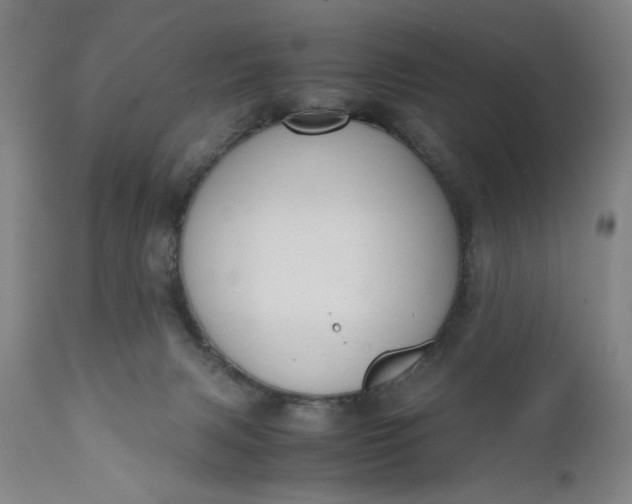 X0000110910079200907021445