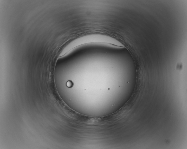 X0000110910080200907021445