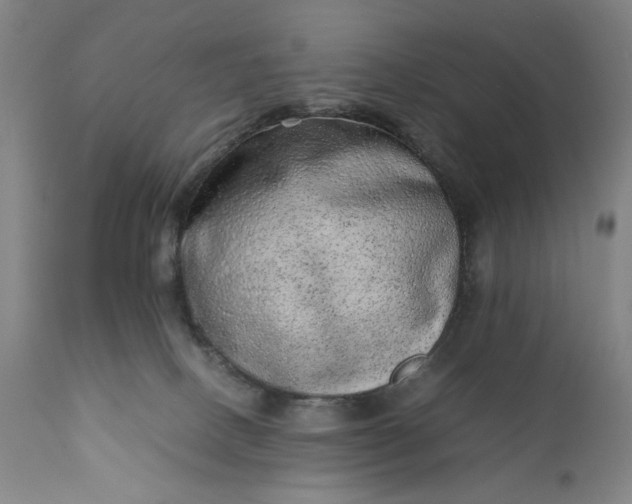 X0000110910082200907021445