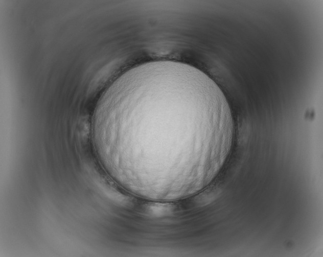 X0000110910085200907021445