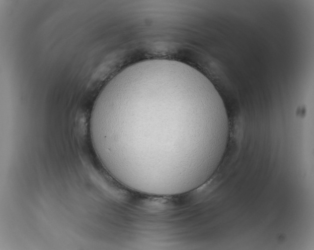 X0000110910086200907021445