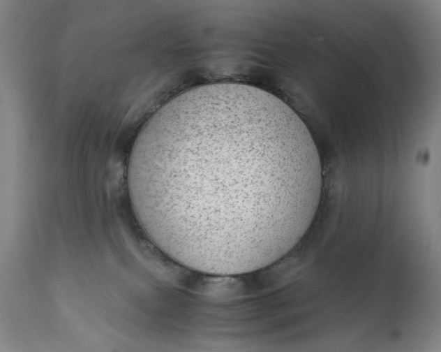 X0000110910087200907021445