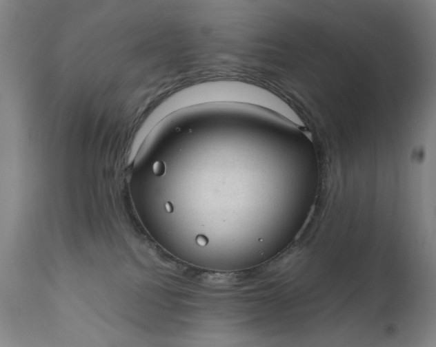 X0000110910088200907021445