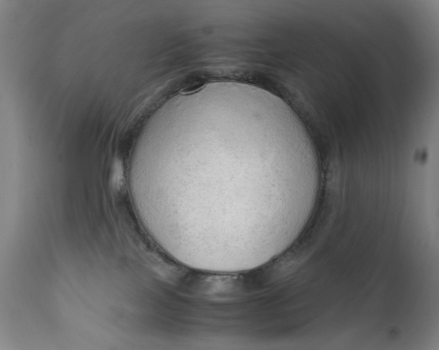 X0000110910089200907021445