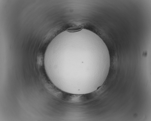 X0000110910090200907021445