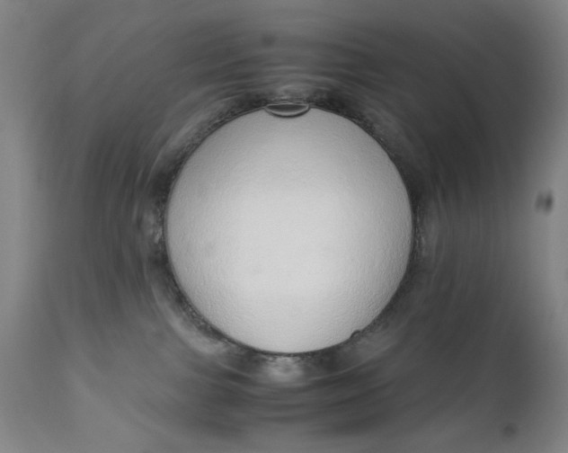 X0000110910091200907021445