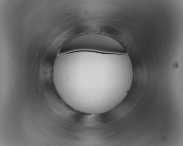 X0000110910092200907021445