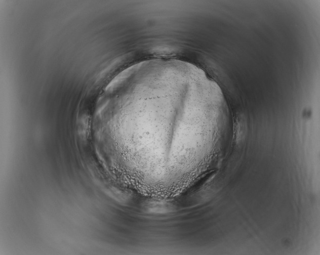 X0000110910093200907021445