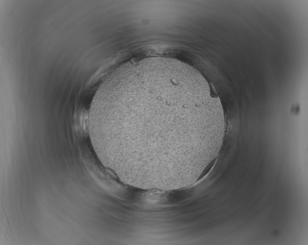 X0000110910094200907021445