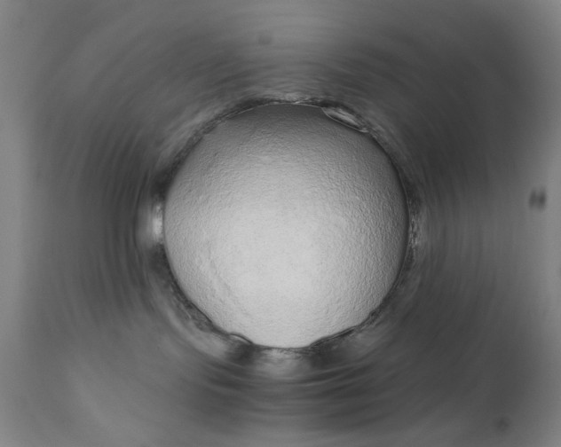 X0000110910095200907021445