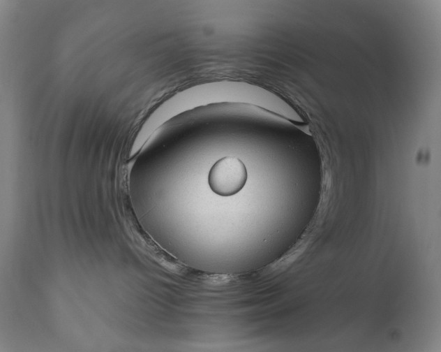 X0000110910096200907021445