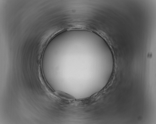 X0000110910097200907021444