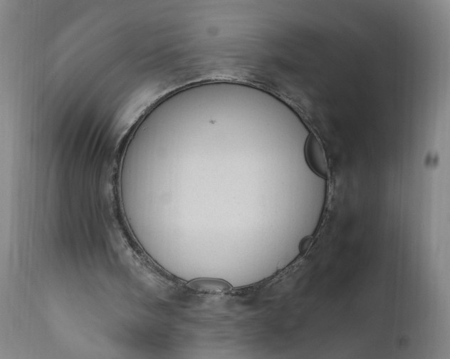 X0000110910098200907021444