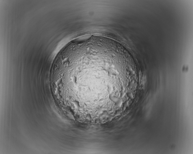 X0000110910099200907021444