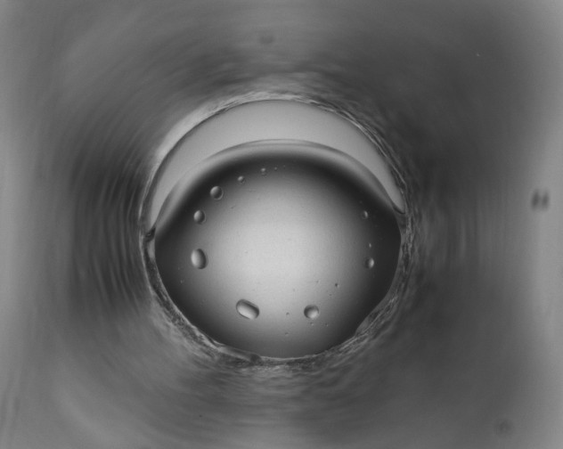 X0000110910100200907021444