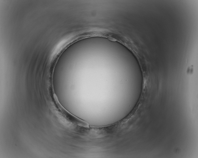 X0000110910101200907021444