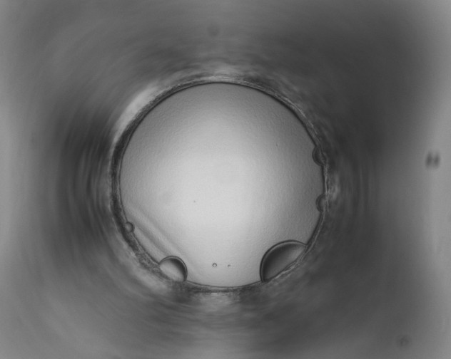 X0000110910102200907021444